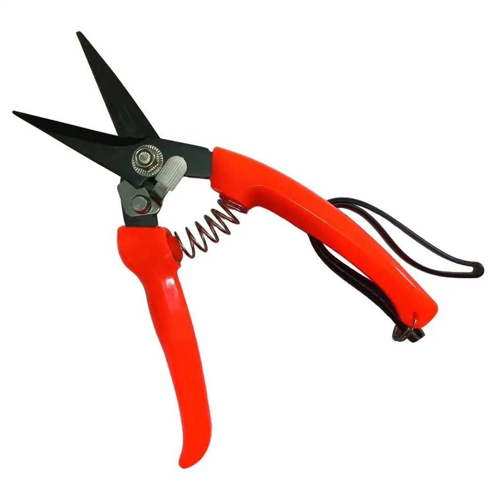 Hoof Trimming Shears for Sheep Goat Hoof Trimmers Multi-Purpose Carbon Steel Pruning Shears for Florists and Home Gardeners Hoof Trimming Shears for Sheep Goat Hoof Trimmers Multi-Purpose Carbon Steel Pruning Shears for Florists and Home Gardeners