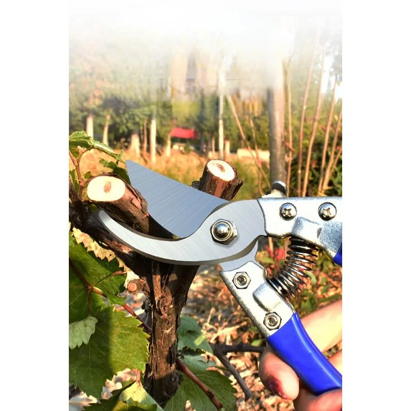SK5 Pruning Scissors Grafting Tool Gardener Scissor Secateurs Stainless Steel Floral Fruit Tree Branch Cutting Shears Picking