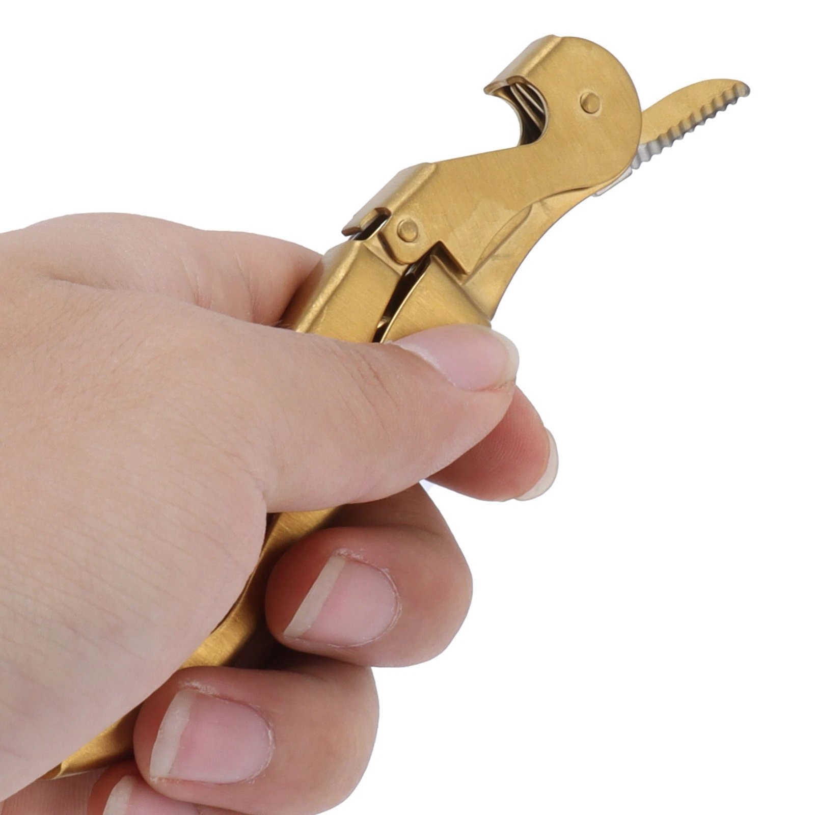 Sea Horse Corkscrew Wine Tool Bottle Opener Knife Stainless Steel Hippocampus Can Opener Double Hinged CorkscrewGold Sea Horse Corkscrew Wine Tool Bottle Opener Knife Stainless Steel Hippocampus Can Opener Double Hinged CorkscrewGold