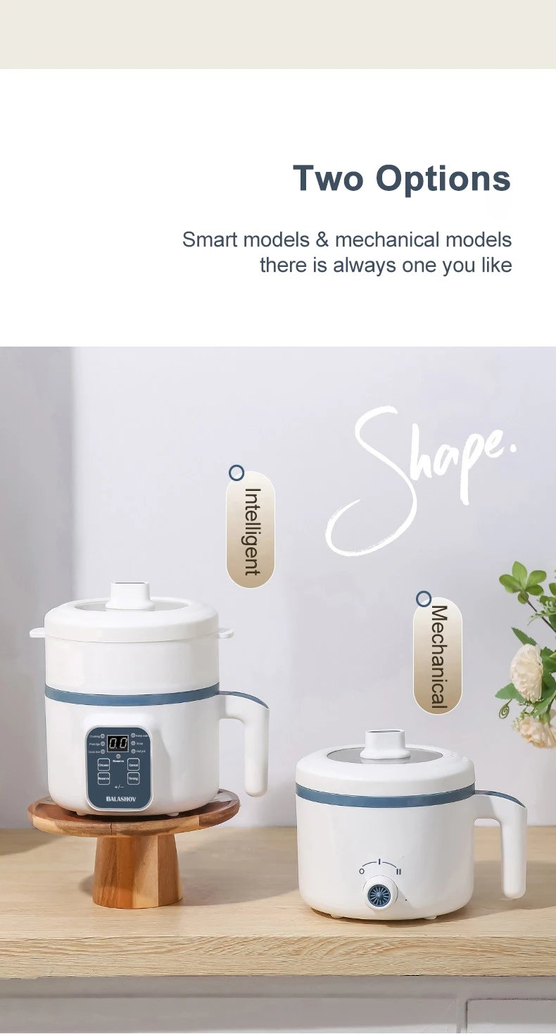 Electric Rice Cooker 110V/220V Multi cooker Single Double Layer Mini Non-Stick Smart Mechanical Hotpot for Kitchen and Home