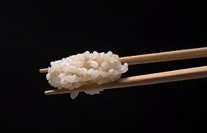 Zojirushi Micom Rice Cooker and Warmer (10-Cup/Cool White)